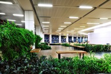 airport-greenery-igia