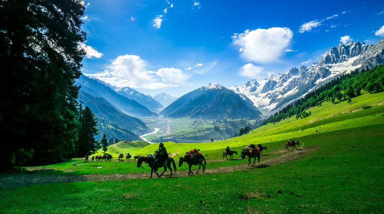 National travel associations visit Kashmir, optimistic about tourism recovery by mid-2025  